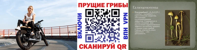 даркнет клад  KRAKEN ССЫЛКА  Нерехта  Псилоцибиновые грибы мицелий 